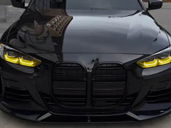 Schwarz Doppelsteg Kühlergrill Grill Frontgrill für BMW 4er G22 G23 mit ACC ab 2020