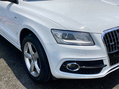 Schwarz Chrom Nebelscheinwerfer Gitter Blenden Grill für AUDI Q5 8R S Line 2013-2017 fg336