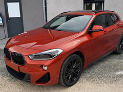 Kühlergrill Frontgrill Nieren Grill Schwarz Glanz Passend für X2 F39 2018-2023