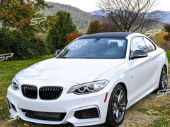 Kühlergrill Nieren Grille Grill Einzelsteg Glanz Schwarz Passend für 2er F22 F23 F87 M2 fg8