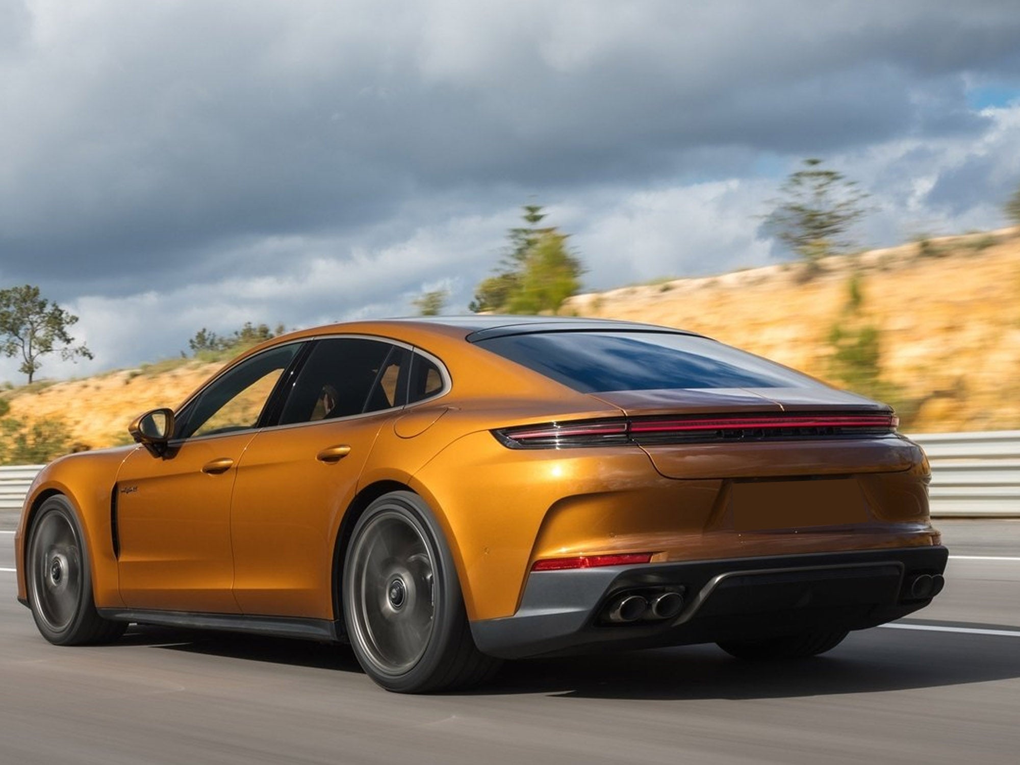Schwarz Glanz Auspuffblenden Endrohre für Porsche Panamera 972 2024+ et314